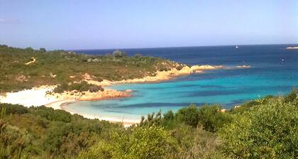 Ginepri new dock Porto Rotondo Olbia (SS)