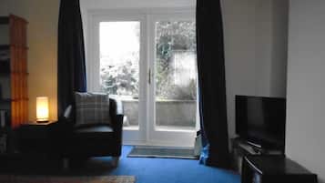 Smart TV, fireplace, DVD player, books
