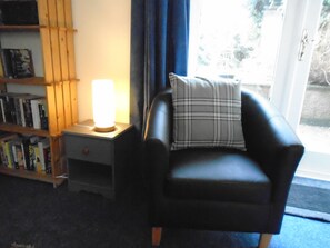 Smart TV, chimenea, reproductor de DVD y libros 