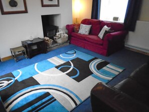 智能電視、壁爐、DVD 播放機、書籍