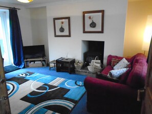 智能電視、壁爐、DVD 播放機、書籍