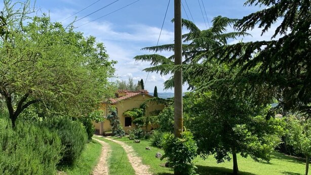 Un sendero conduce a una casa rodeada de abundante vegetación y árboles.