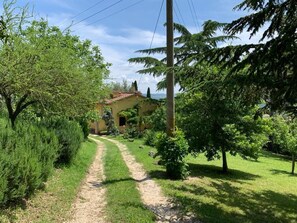 A pathway leading to a house surrounded by lush greenery and trees. -  country house overlooking the Tiber Valley (Narni)