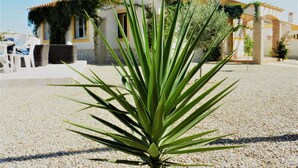 Et hus med et tegltag, grusbelægning og en plante i forgrunden.