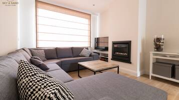 Televisie, een open haard, een dvd-speler en boeken