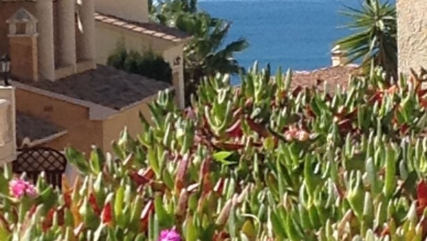 A coastal building with a tiled roof, surrounded by cacti and a view of the sea.
