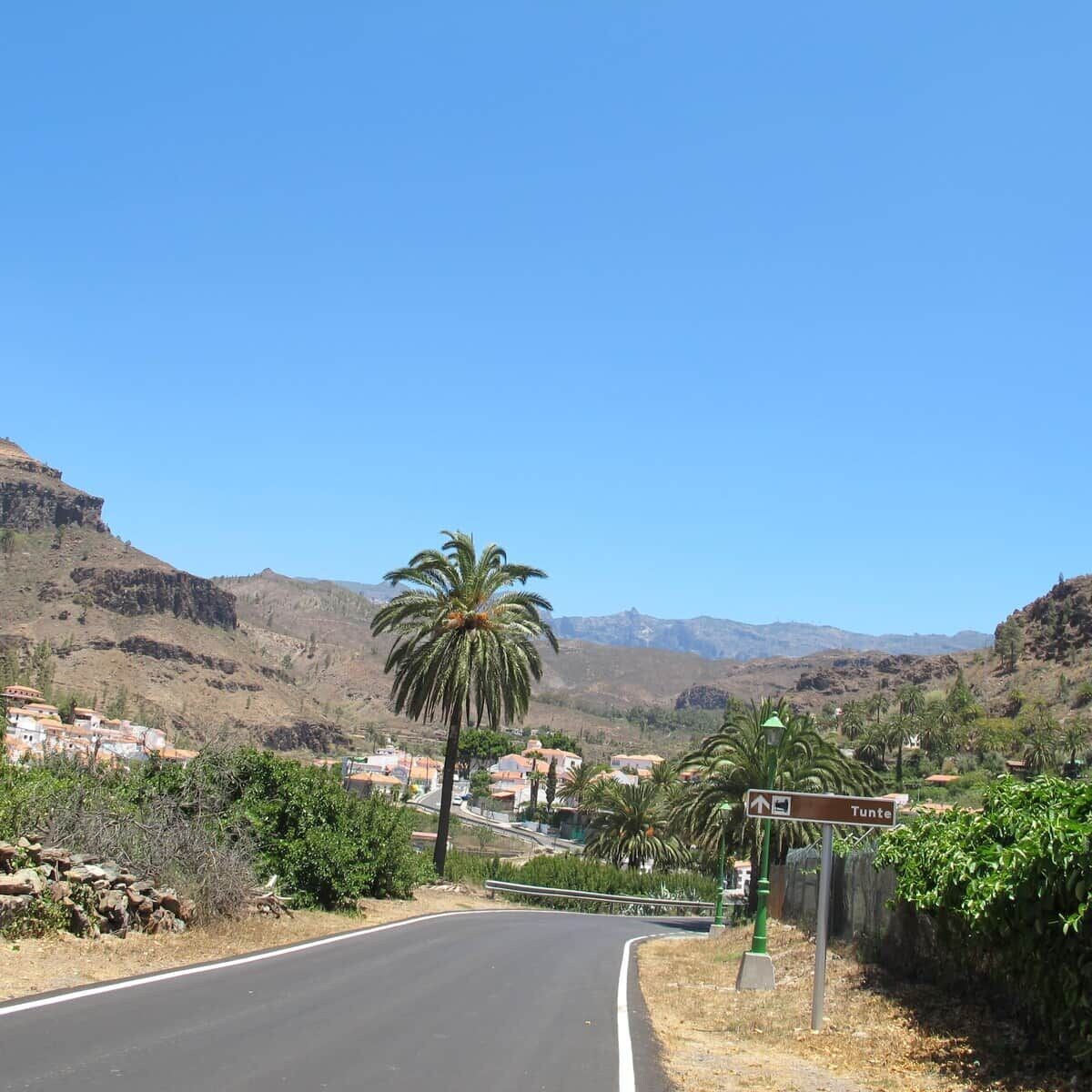 Una carretera que lleva a una zona residencial con casas y una palmera.