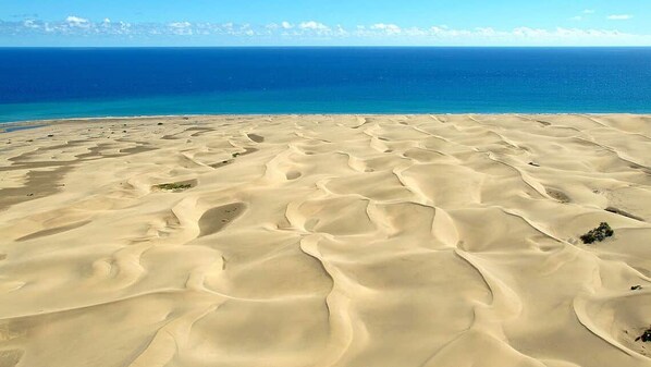 Las Dunas de Maspalomas  es un reserva Natural, único en Gran Canaria por su belleza y su mezcla entre desierto y oasis. 