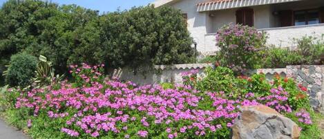 Overnatningsstedets område