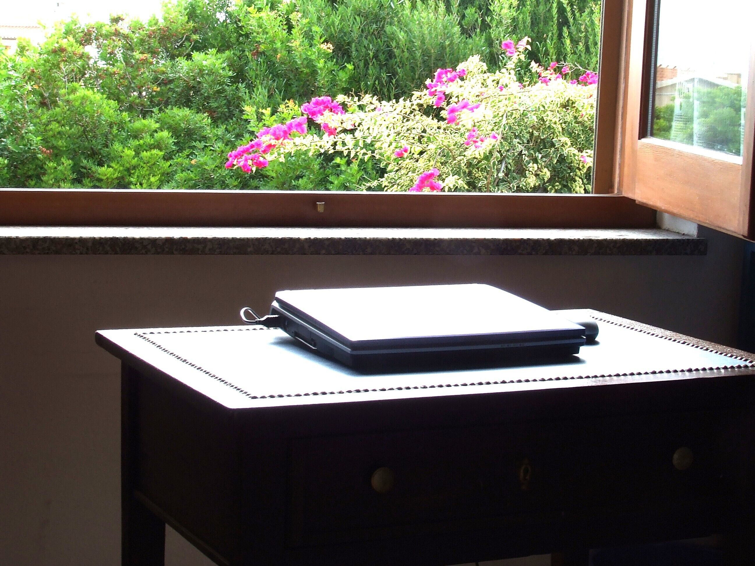 Ein Laptop auf einem Schreibtisch neben einem Fenster mit Blick auf Grünpflanzen und Blumen.