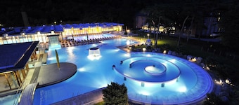 Historic chalet from 1714 in Plans-sur-Bex, Gryon-Villars-Les Diablerets