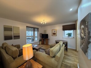 Televisio, DVD-soitin, kirjoja, stereot