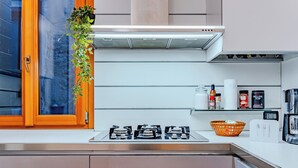 Une cuisine moderne avec une cuisinière à gaz, une plante suspendue et une fenêtre avec un cadre en bois.