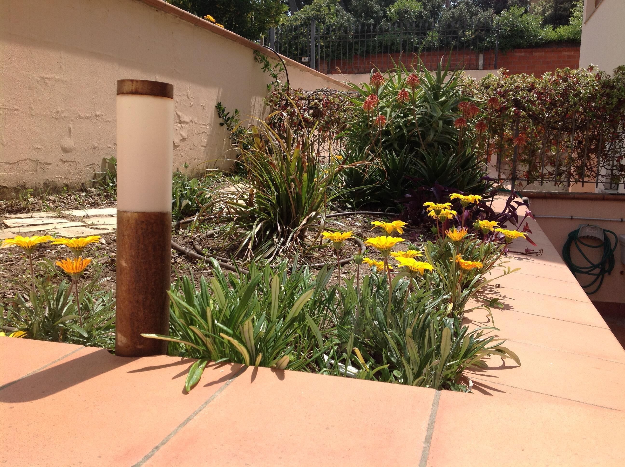 Parco della struttura