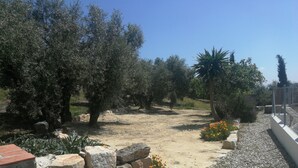 Ein Garten mit Olivenbäumen, einer Palme und einem von Steinen und Blumen gesäumten Weg.