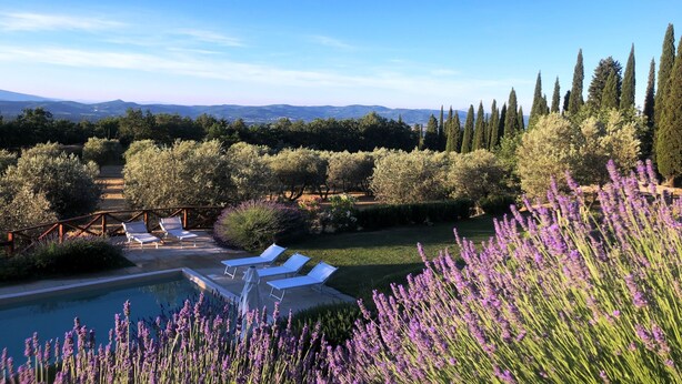 A pool area with lounge chairs and a view of the surrounding landscape. - Poggio Corsucci - "The Hut" - Stone house in the heart of Tuscany with pool (Loro Ciuffenna (Province of Arezzo))