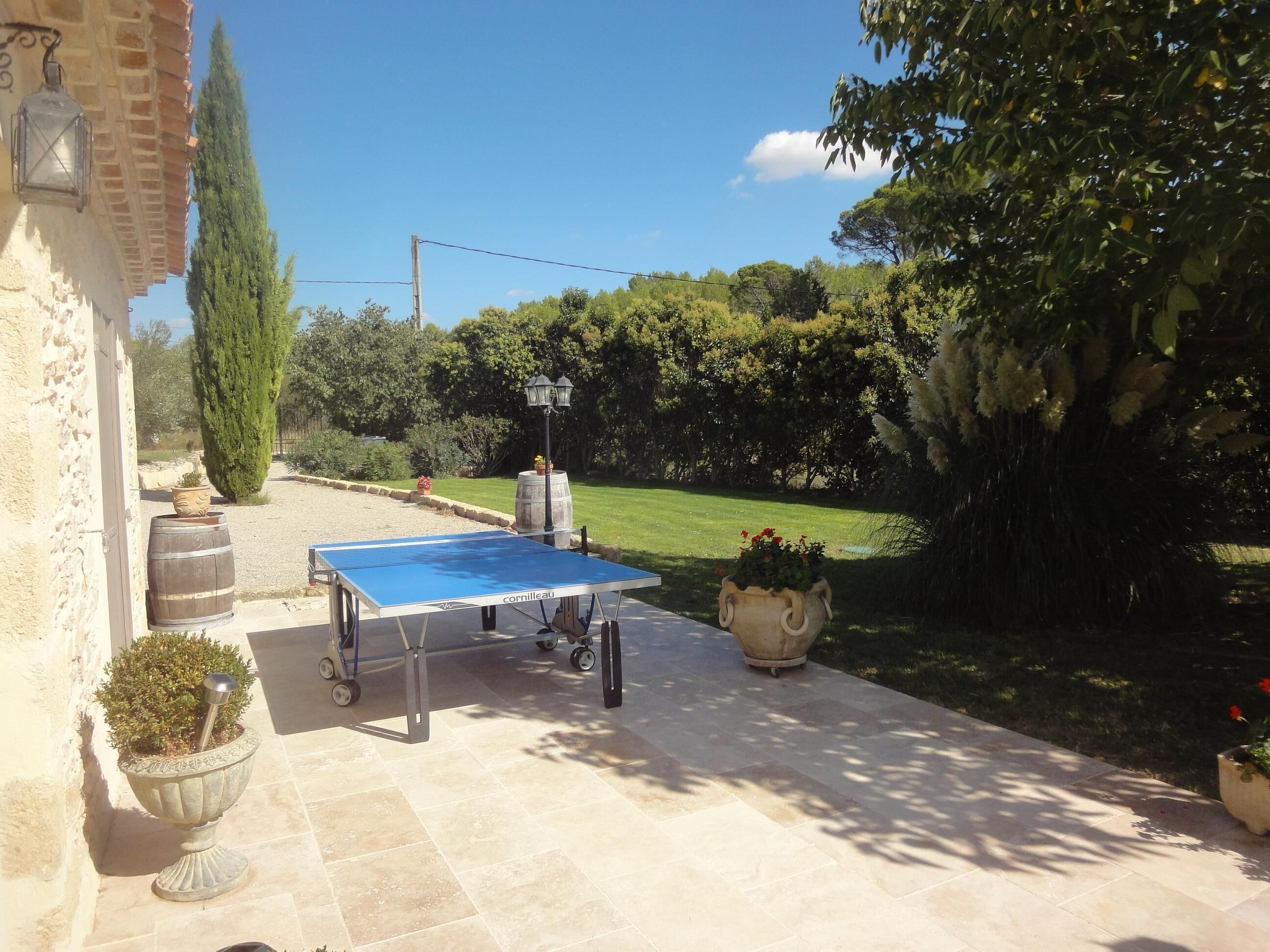A ping pong table on a patio with a stone floor, surrounded by potted plants and a lamp post.