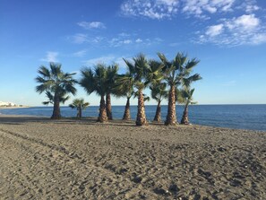 Chaises longues, serviettes de plage
