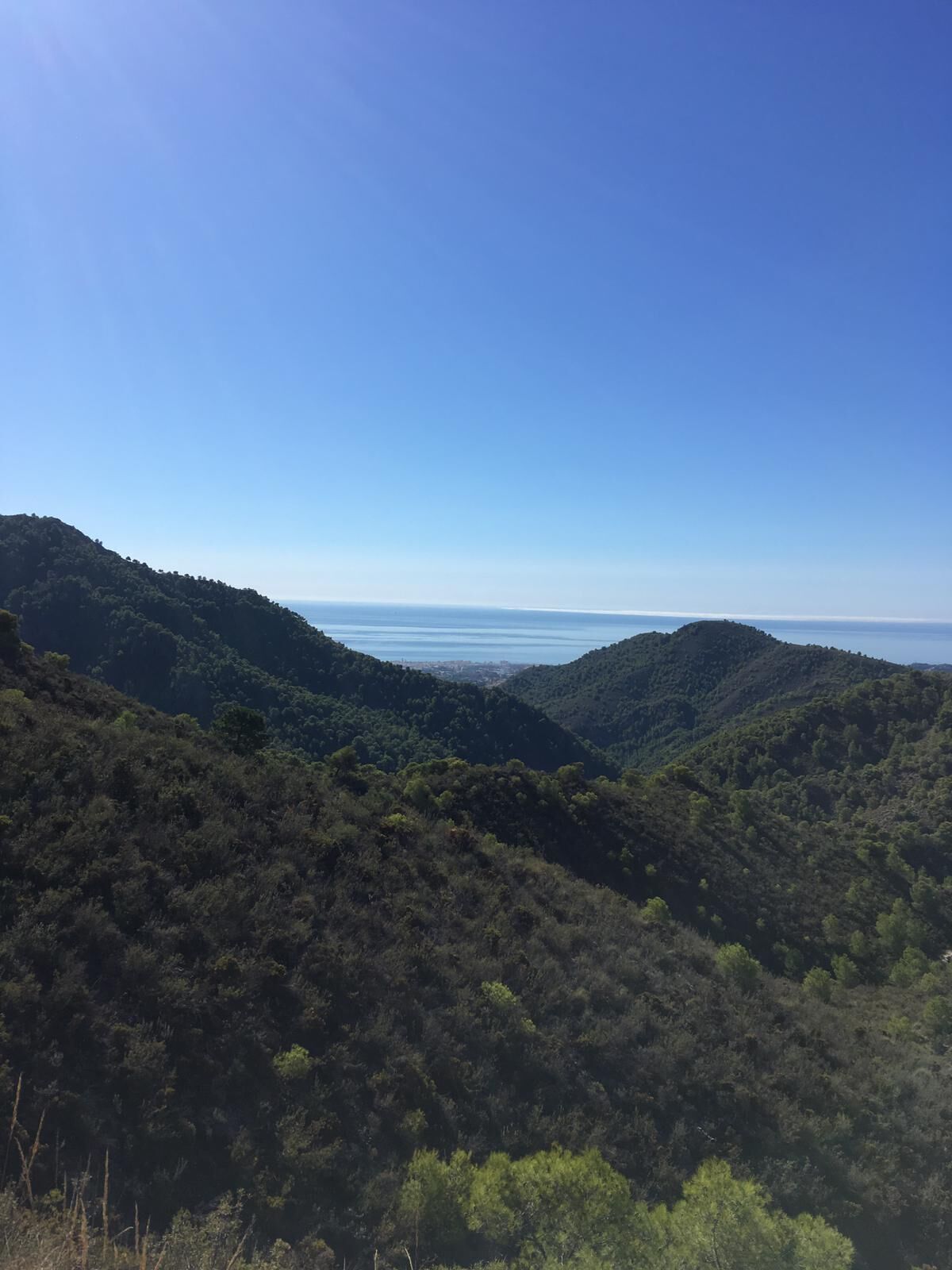 Eine gebirgige Landschaft mit dichtem Wald und freiem Blick auf den Ozean.