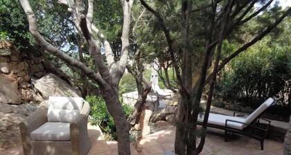 Beautiful House With Spectacular Views of the Gulf of Pevero