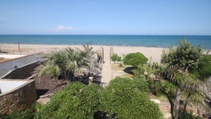 A coastal view with a beach, palm trees, and a stone pathway leading to the sea.