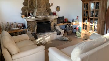 Smart TV, caminetto, lettore DVD, libri