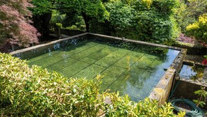 Een rechthoekig zwembad met helder water, omringd door weelderige begroeiing en bomen.