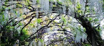 Lyx herrgård, landskap och havet, självhushåll, fantastiska trädgårdar