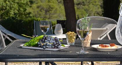Pool house surrounded by vineyards