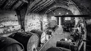 An arched, rustic interior with wooden barrels, stone walls, and a high ceiling.