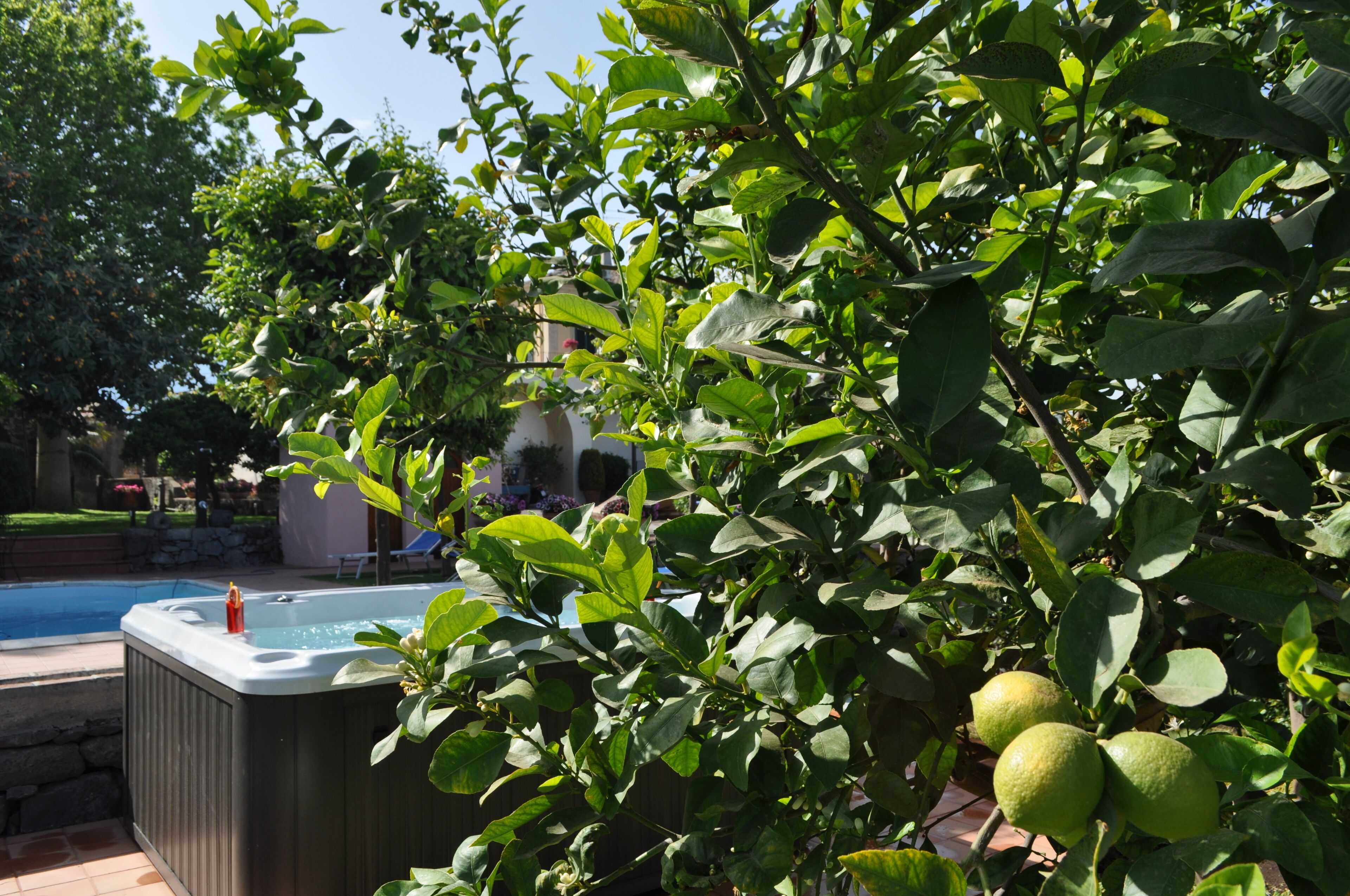 Un jacuzzi rodeado de exuberante vegetación y una piscina.
