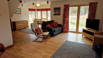 TV, fireplace, DVD player, books