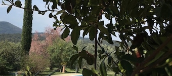 Villa mit privatem Pool in der Nähe von Stränden, Golf, Wein, Geschichte in der Maremma, Toskana