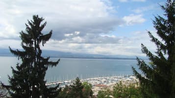 Puerto deportivo