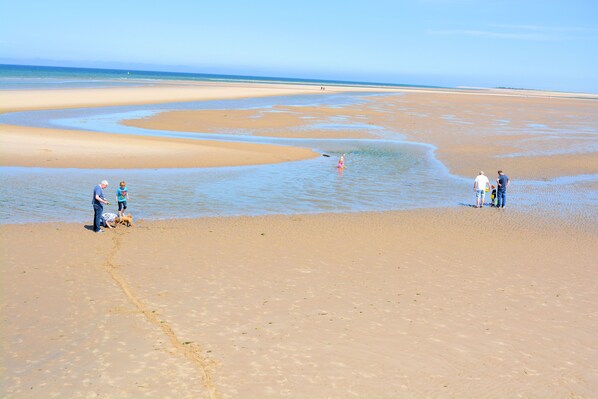 بالقرب من الشاطئ