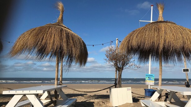 Una playa con sombrillas de paja, mesas de picnic blancas y un letrero.