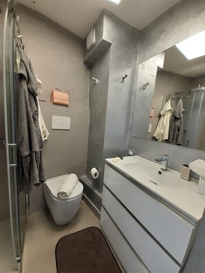 Shower, hair dryer, bathrobes, slippers