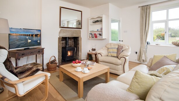 Una sala de estar acogedora con chimenea, asientos cómodos, televisor y estantería.
