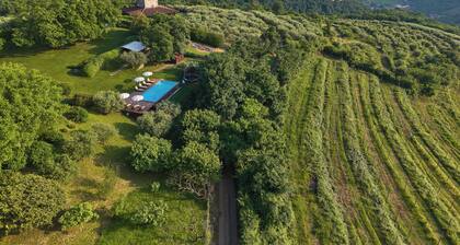 Charming portion of villa with pool in the hills of Verona