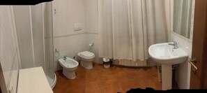 Shower, hair dryer, bidet, towels