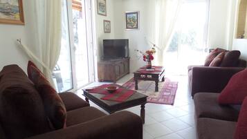Smart TV, DVD player, video library