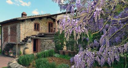 In der Chianti Indipenden Ferienhaus - 6 Räume - 8/10 Personen Fernsehen WM