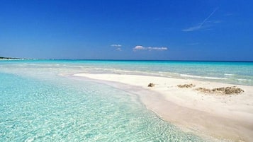 Ubicación cercana a la playa, tumbonas y toallas de playa