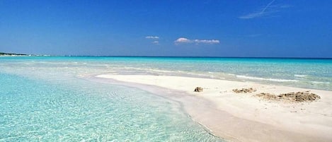 Beach nearby, sun-loungers, beach towels