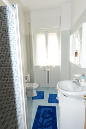 Dusche, Haartrockner, Bidet, Handtücher