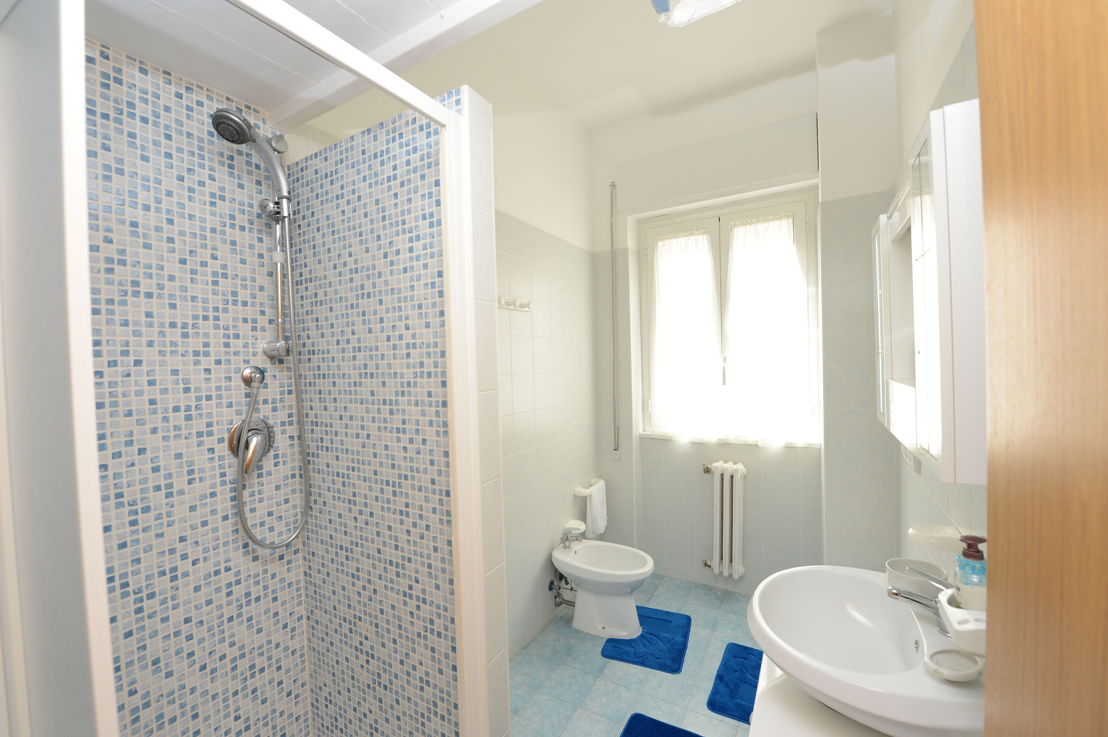 Regadera, secadora de cabello, bidet, toallas 