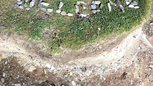 A grassy area with scattered stones and a plastic bag.