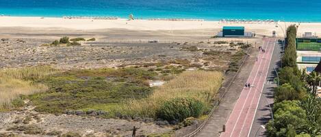 A coastal road with a beach in the background.