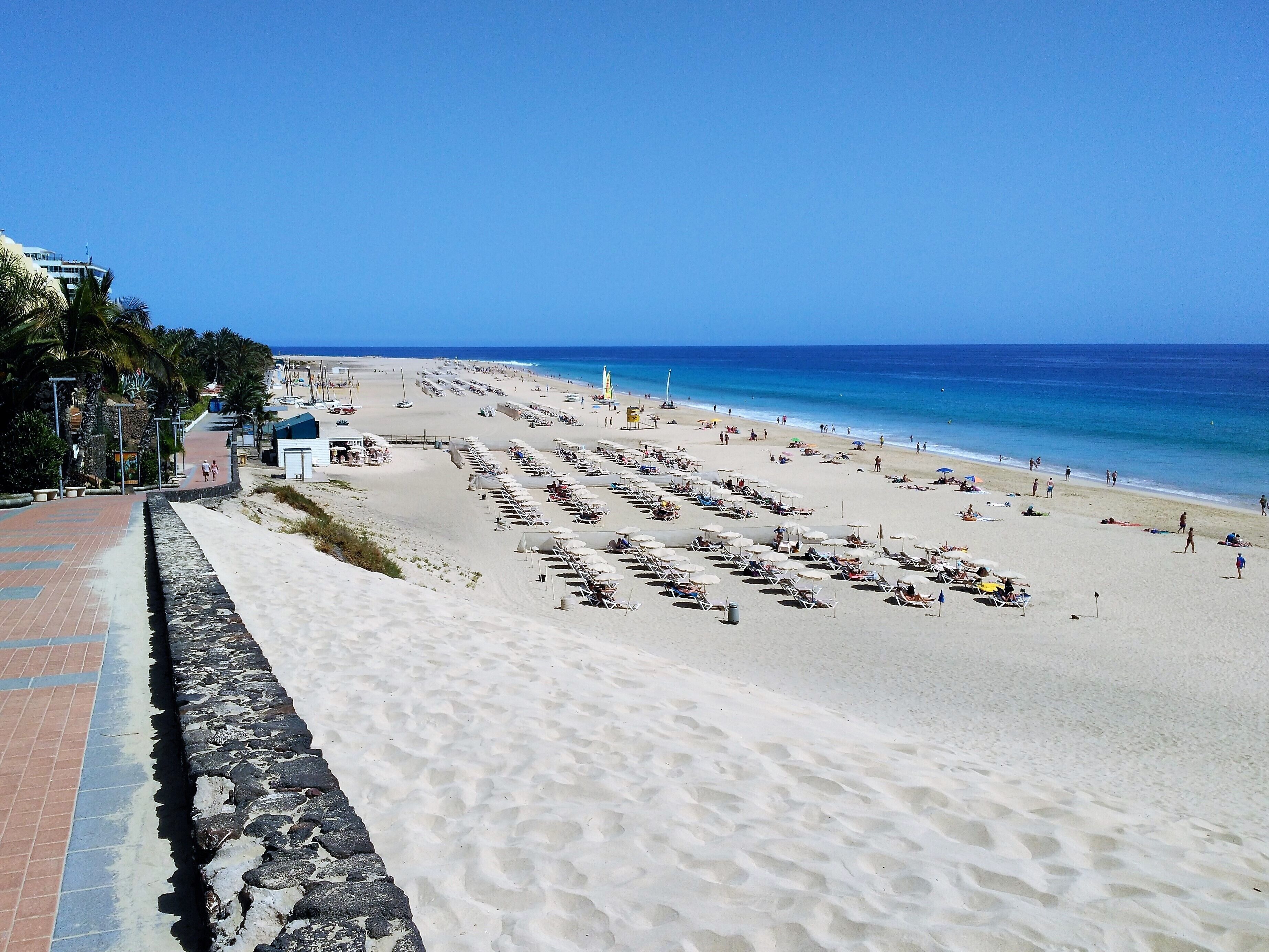 A beach with rows of sun loungers and umbrellas, a clear blue sky, and the ocean in the background.