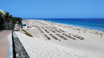 A beach with rows of sun loungers and umbrellas, a clear blue sky, and the ocean in the background.